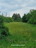 Terrain à bâtir à la vente